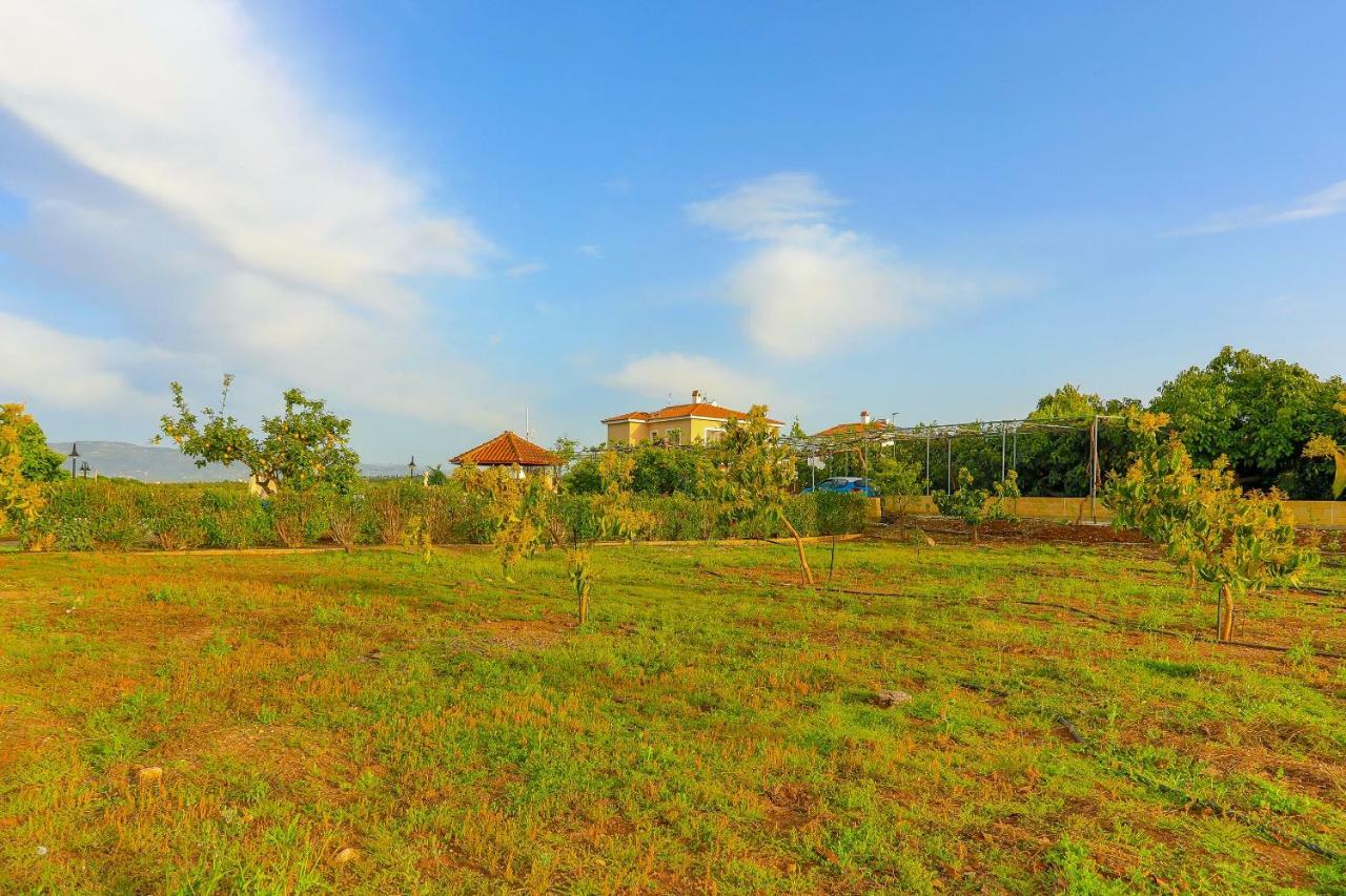 Villa Athina Finiki Полис Экстерьер фото